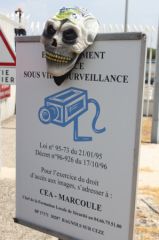 2012-08-23_Marche-pour-la-vie_Codolet-Marcoule-Areva-Bagnols-01 (24).JPG