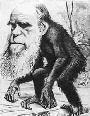 racisme,taubira,singe,king kong,manif pour tous,esclavage,arabe,ethnie,dsk,sarkozy,requin,cochon,blanc,noir,europe,inde,
