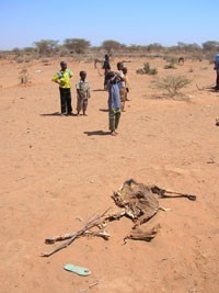 Somalie1.jpg