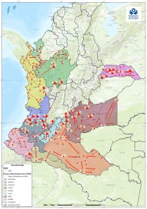 mvt FARC
