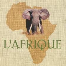 AFRIQUE--elephant-.jpeg