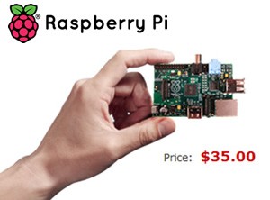 Raspberry Pi™ Model B