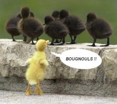 racisme-3.jpg