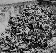 shoah-2.jpg
