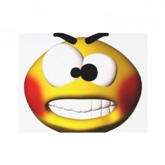 smiley-fou1.jpg