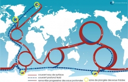 gulf stream,rchauffement,dclin,anticyclone,aores,courants,giec