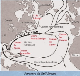 gulf stream,effondrement