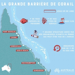 australie,cotail,battiere de corail,rcif,rsilience