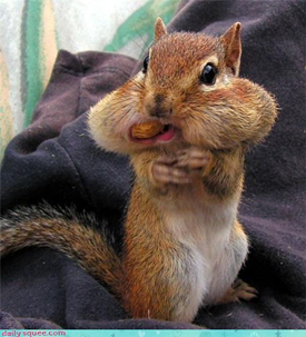 On a dit buffet gratuit, non?