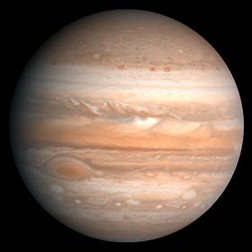 Image illustrative de l'article Jupiter (plante)