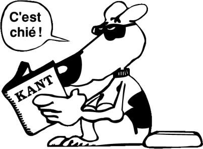 La thorie kantienne du schmatisme des concepts purs de l'entendement
