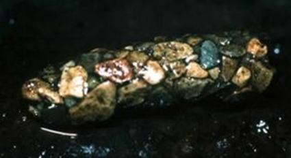 Fourreau naturel de larve de trichoptère