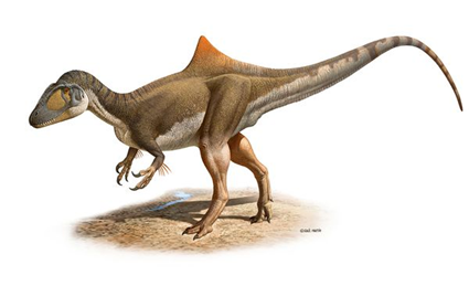 Concavenator corcovatus