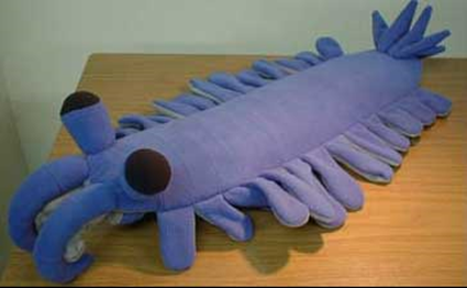 Anomalocaripluche