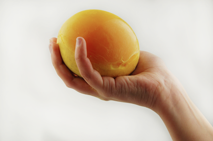 Jaune d'oeuf d'autruche