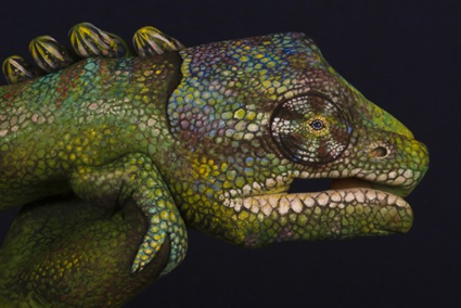 Handimals, Guido Daniele