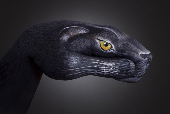 Handimals, Guido Daniele