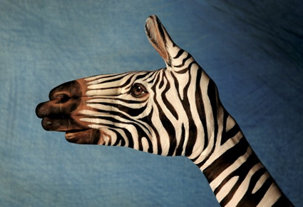 Handimals, Guido Daniele