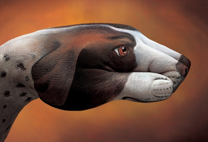 Handimals, Guido Daniele