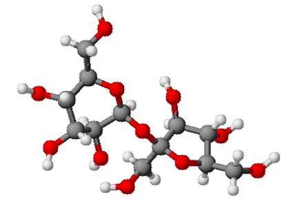 Saccharose