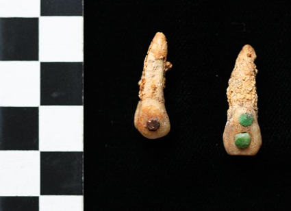 Deux jolies quenottes pour appter la petite souris