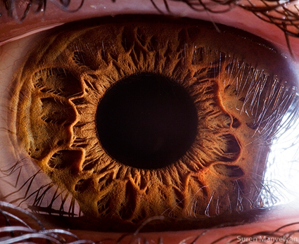 Your beautiful eyes, Suren Manvelyan