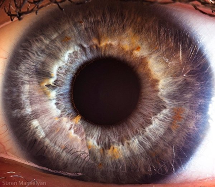 Your beautiful eyes, Suren Manvelyan