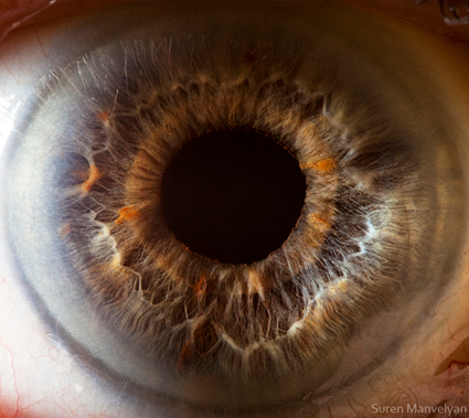 Your beautiful eyes, Suren Manvelyan