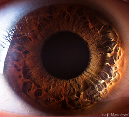 Your beautiful eyes, Suren Manvelyan
