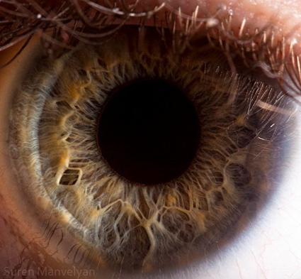Your beautiful eyes, Suren Manvelyan