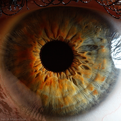 Your beautiful eyes, Suren Manvelyan