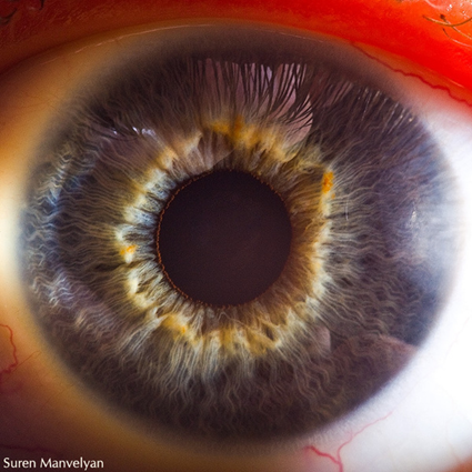 Your beautiful eyes, Suren Manvelyan
