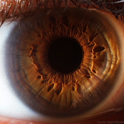 Your beautiful eyes, Suren Manvelyan
