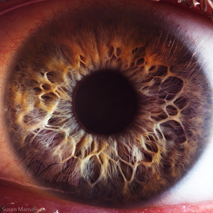 Your beautiful eyes, Suren Manvelyan