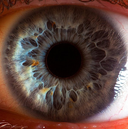 Your beautiful eyes, Suren Manvelyan