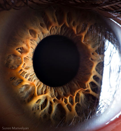 Your beautiful eyes, Suren Manvelyan