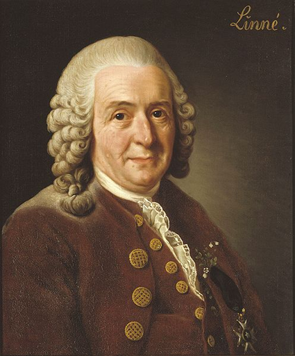 Carl von Linn par Alexander Roslin