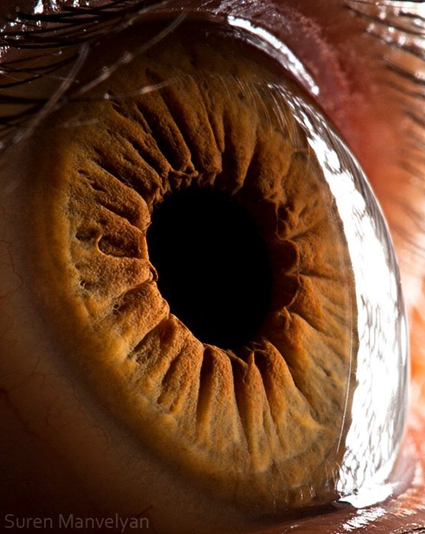 Your beautiful eyes, Suren Manvelyan