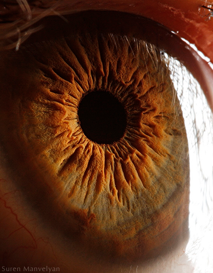 Your beautiful eyes, Suren Manvelyan