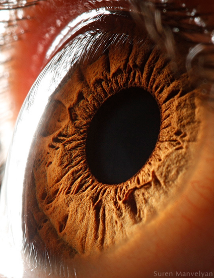 Your beautiful eyes, Suren Manvelyan