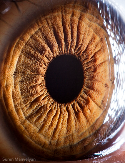 Your beautiful eyes, Suren Manvelyan