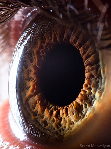 Your beautiful eyes, Suren Manvelyan