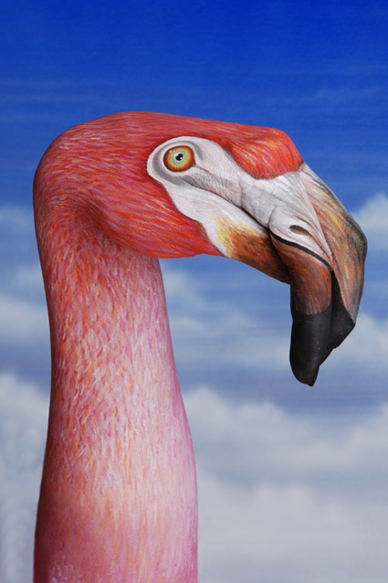 Handimals, Guido Daniele