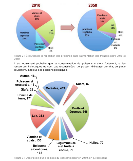 Composition de la ration alimentaire dans le scnarion  AFTERRE