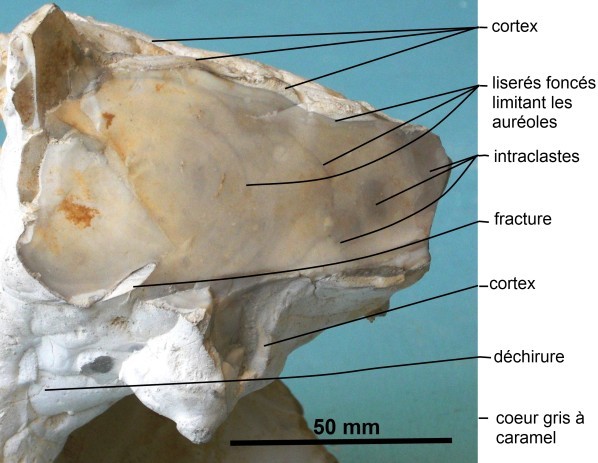 Figure 12 b