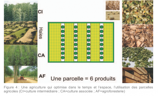 Exemple de l'utilisation des sols dans le scnario AFTERRE