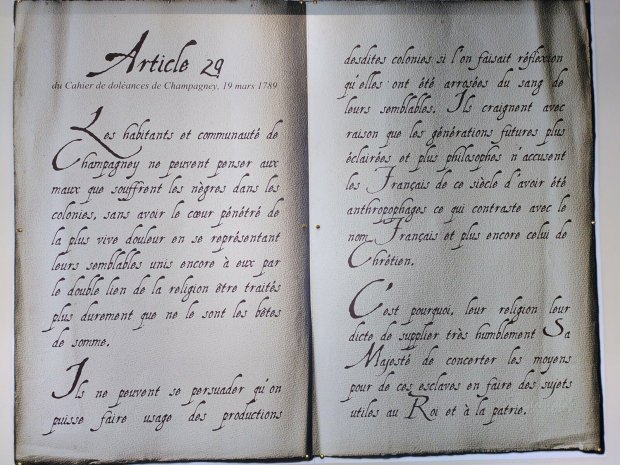 Cahier de  dolances de Champagney - Article 29