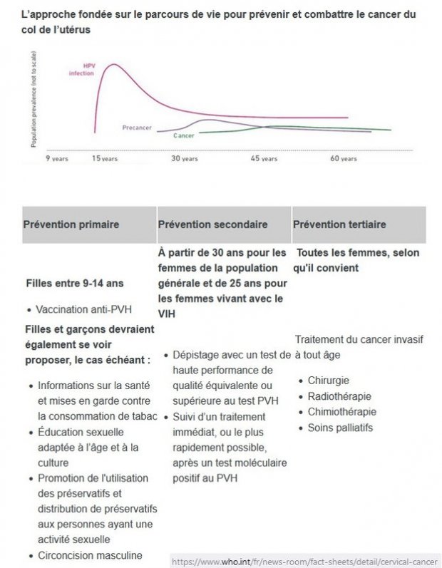 _yartiPapillomavirus08